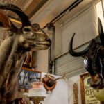 four sisters murfreeboro antique and vintage (38 of 78)